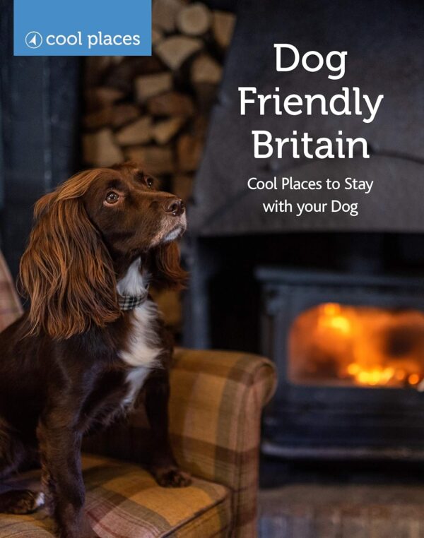 Dog friendly Britain